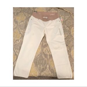 GAP NWT Real Straight maternity jeans 12